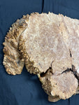 #1231 Maple Burl Plaque