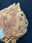 #1231 Maple Burl Plaque