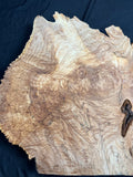 #1231 Maple Burl Plaque