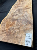 #1232 Maple Burl Plaque