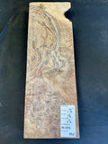#1370 Claro Burl Black Walnut Instrument Billet