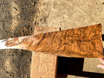 EW-12 English Walnut Stock Blank